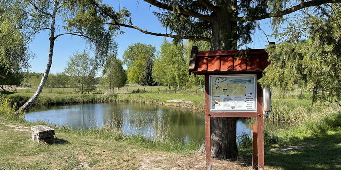 Forellen angeln in Bienenbüttel Ortsteil Grünhagen