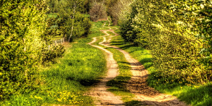 Der Weg ist das Ziel !