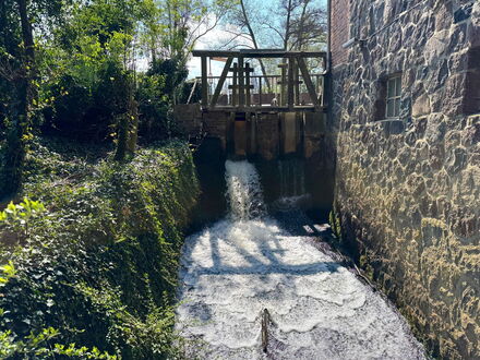Wassermühle in Heiligenthal