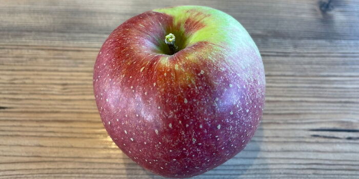 Wie gemalt der Apfel aus der Obstscheune in Tätendorf
