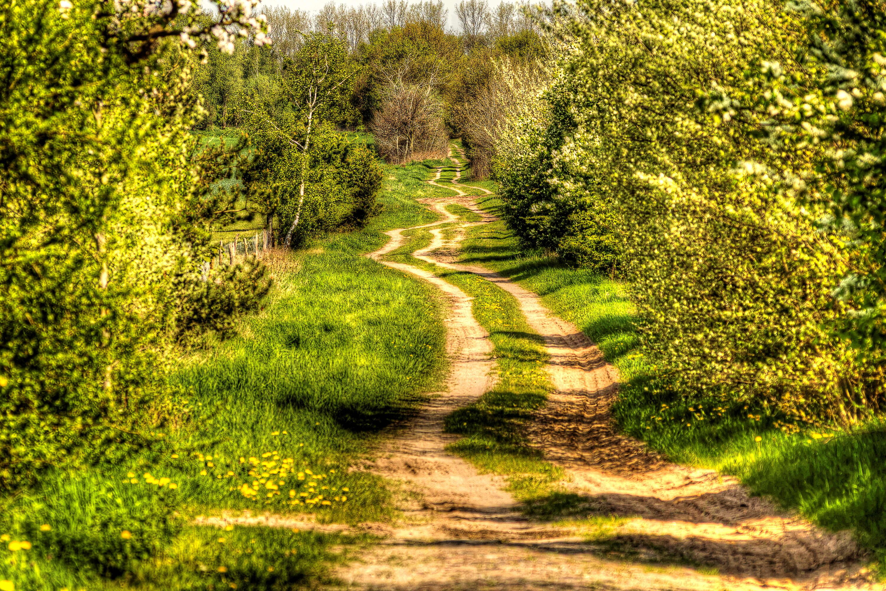 Der Weg ist das Ziel !