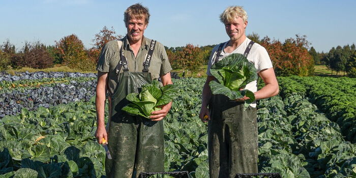 Kohl vom Feinsten bei den Overmeyers