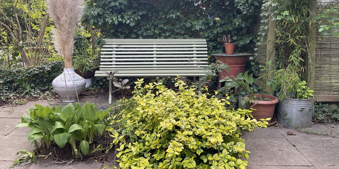 mitten im Garten genießen