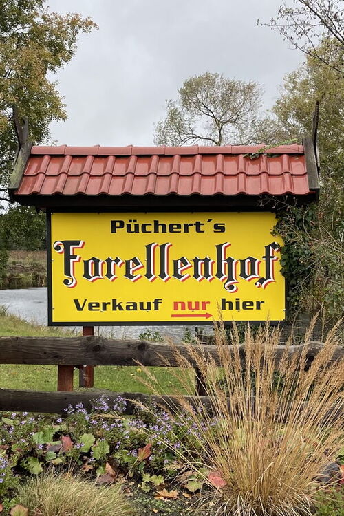 Forellen und Karpfen aus Bienenbüttel