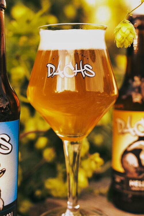 Ein Bier aus Dahlenburg Ortsteil Klein Sommerbeck